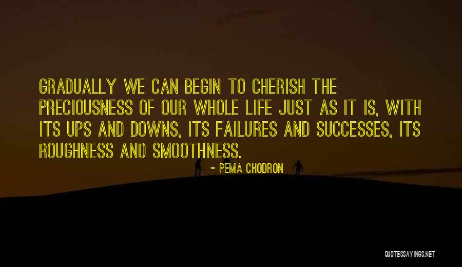 Up And Downs Of Life Quotes By Pema Chodron