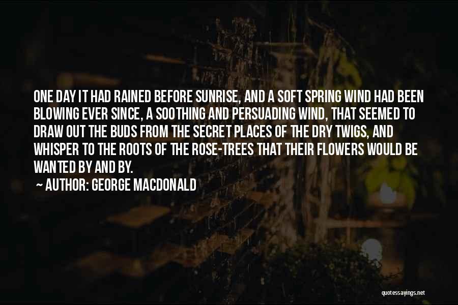 Up Before The Sunrise Quotes By George MacDonald