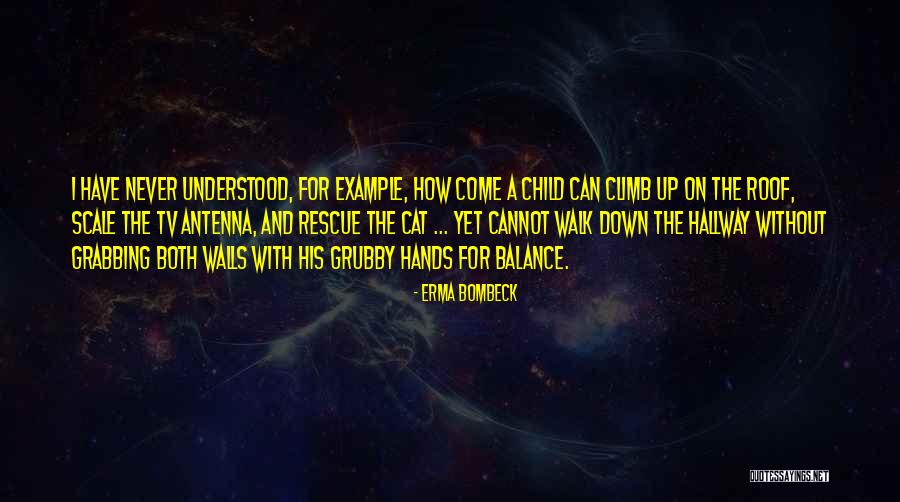 Up On The Roof Quotes By Erma Bombeck Up On The Roof Quotes By Erma Bombeck