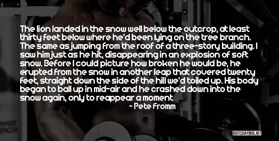 Up On The Roof Quotes By Pete Fromm Up On The Roof Quotes By Pete Fromm