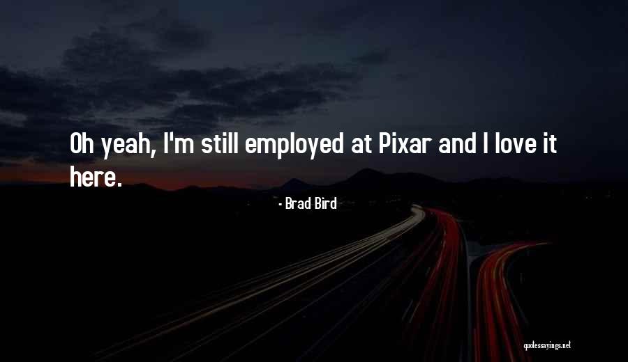 Up Pixar Quotes By Brad Bird Up Pixar Quotes By Brad Bird