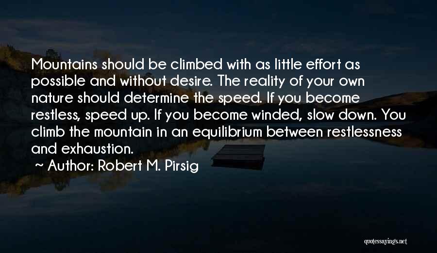 Up Quotes By Robert M. Pirsig