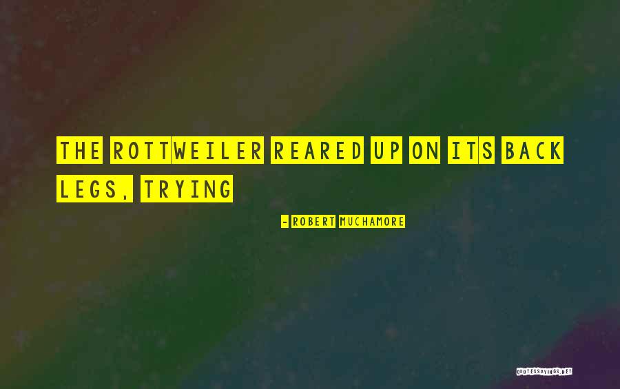 Up Quotes By Robert Muchamore Up Quotes By Robert Muchamore