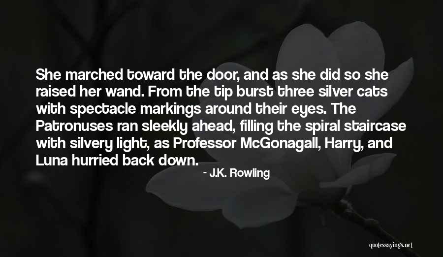 Up The Down Staircase Quotes By J.K. Rowling