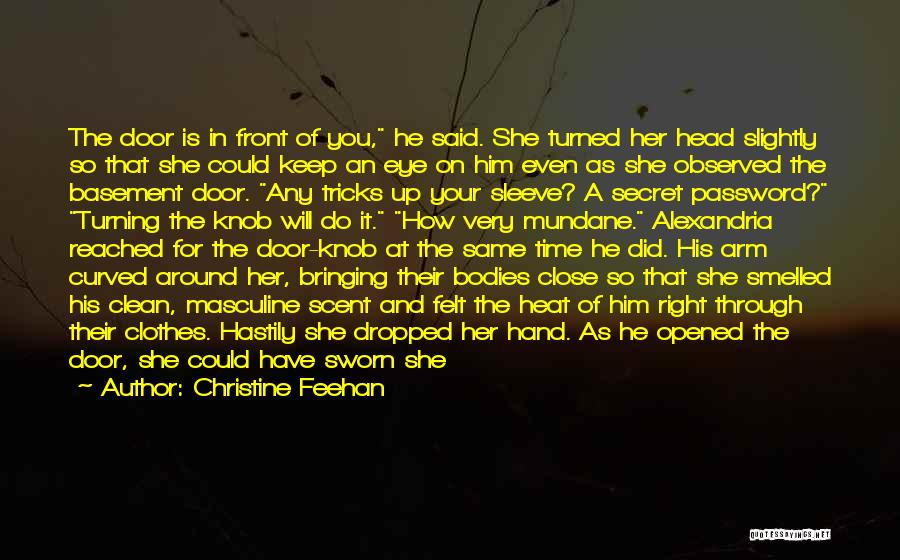 Up Your Sleeve Quotes By Christine Feehan