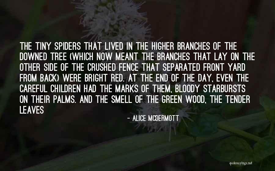 Upalu Wailuku Quotes By Alice McDermott Upalu Wailuku Quotes By Alice McDermott