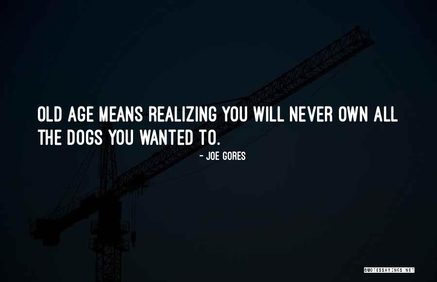 Upliftign Quotes By Joe Gores Upliftign Quotes By Joe Gores
