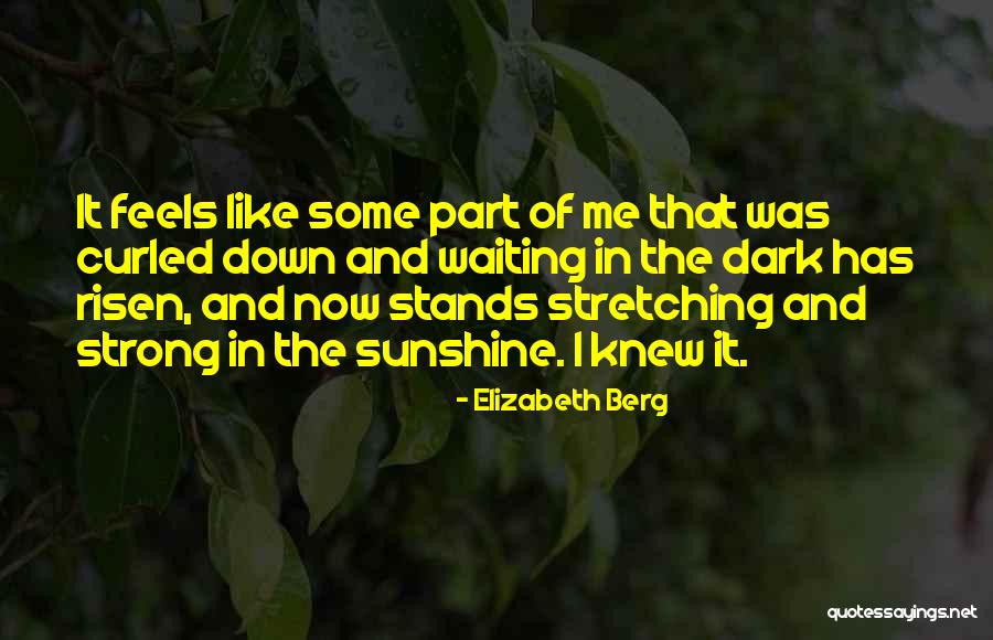 Upright Indoor Quotes By Elizabeth Berg Upright Indoor Quotes By Elizabeth Berg