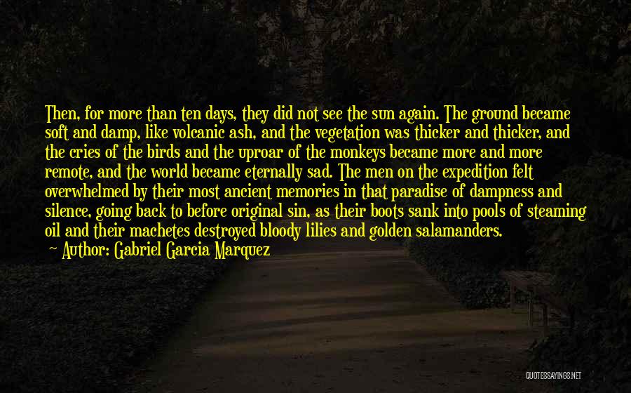 Uproar Quotes By Gabriel Garcia Marquez