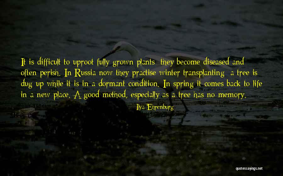 Uproot Quotes By Ilya Ehrenburg Uproot Quotes By Ilya Ehrenburg