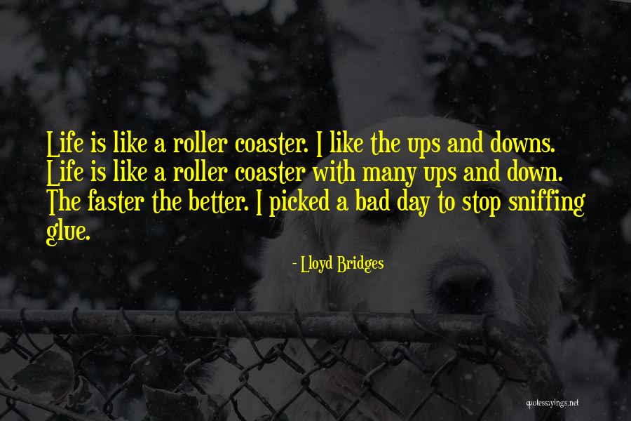 Ups And Down In Life Quotes By Lloyd Bridges