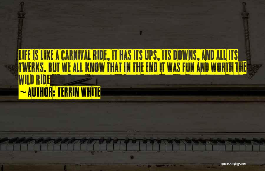 Ups And Downs In Life Quotes By Terrin White