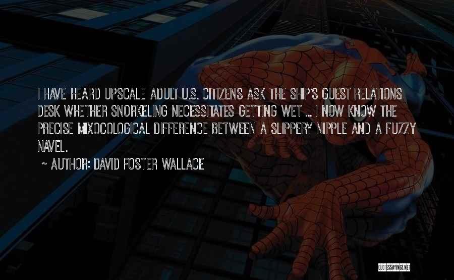 Upscale Quotes By David Foster Wallace