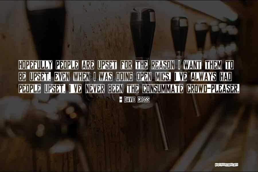 Upset For No Reason Quotes By David Cross Upset For No Reason Quotes By David Cross