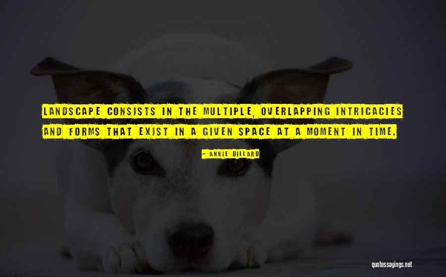 Upsherin Photography Quotes By Annie Dillard Upsherin Photography Quotes By Annie Dillard