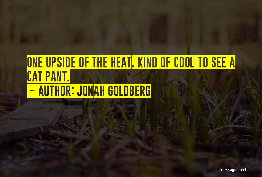 Upside Quotes By Jonah Goldberg