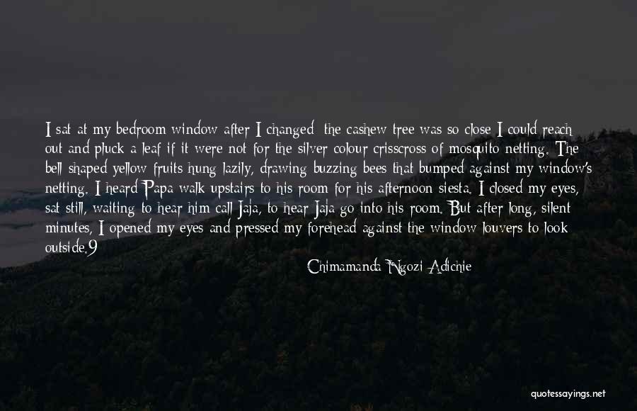 Upstairs Room Quotes By Chimamanda Ngozi Adichie Upstairs Room Quotes By Chimamanda Ngozi Adichie