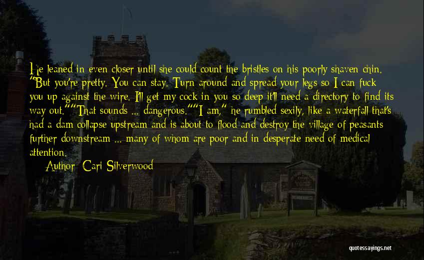 Upstream Quotes By Cari Silverwood