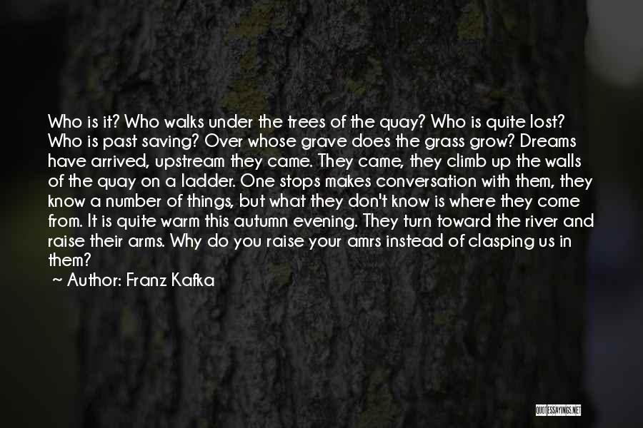 Upstream Quotes By Franz Kafka