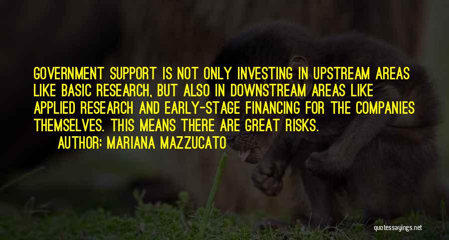Upstream Quotes By Mariana Mazzucato
