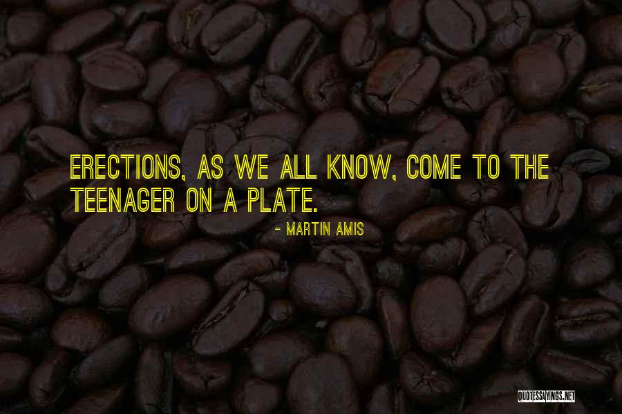 Upvote Soup Quotes By Martin Amis Upvote Soup Quotes By Martin Amis