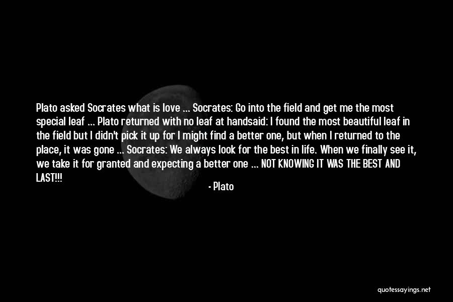 Uraima Quotes By Plato Uraima Quotes By Plato