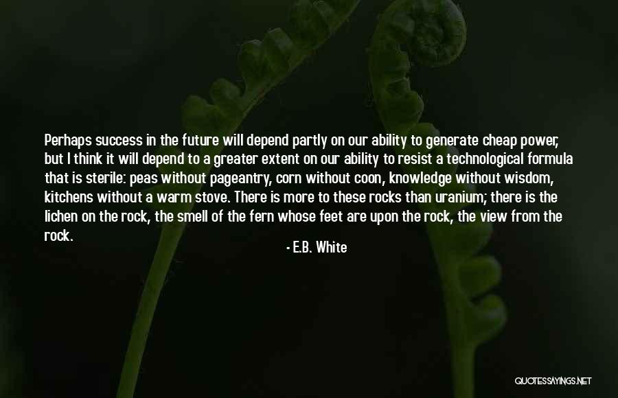 Uranium Quotes By E.B. White