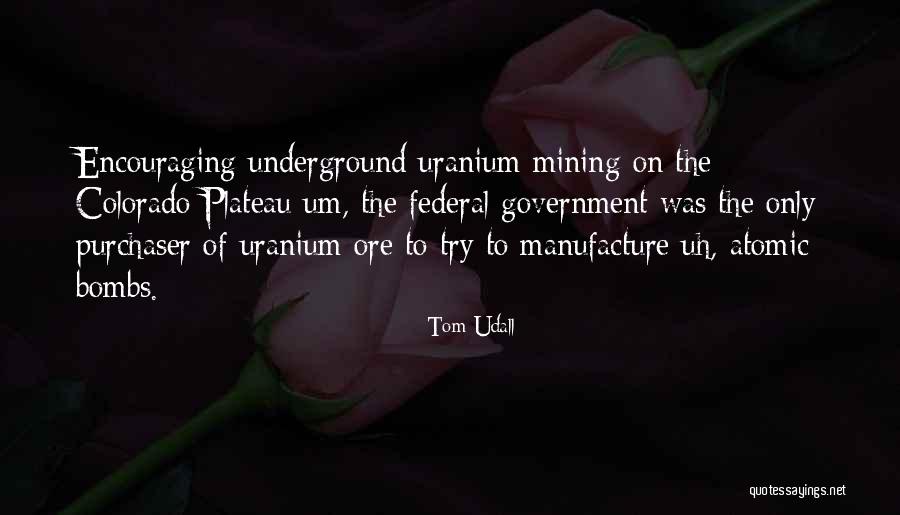 Uranium Quotes By Tom Udall