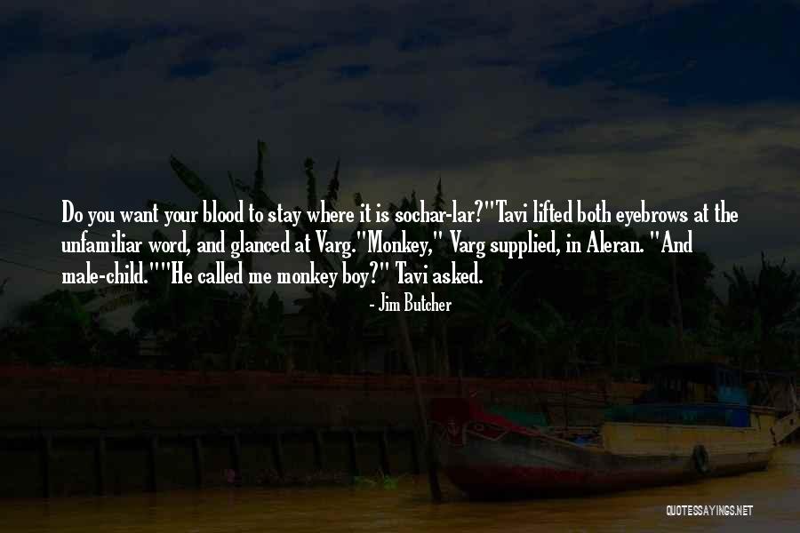 Urasc Minciuna Quotes By Jim Butcher Urasc Minciuna Quotes By Jim Butcher