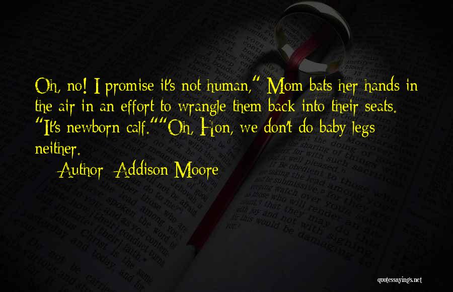 Urban Apologetics Quotes By Addison Moore