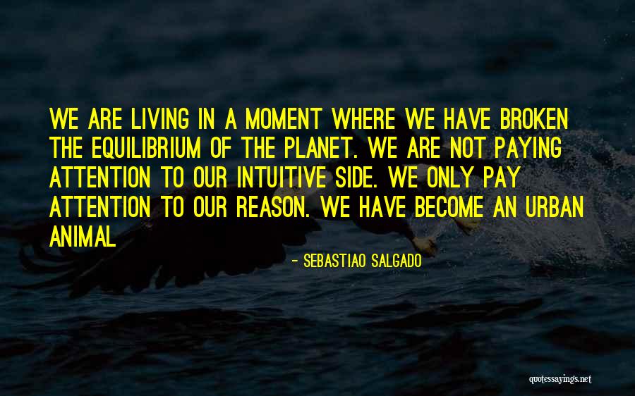 Urban Art Quotes By Sebastiao Salgado