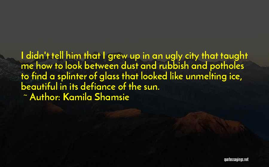 Urban Beauty Quotes By Kamila Shamsie