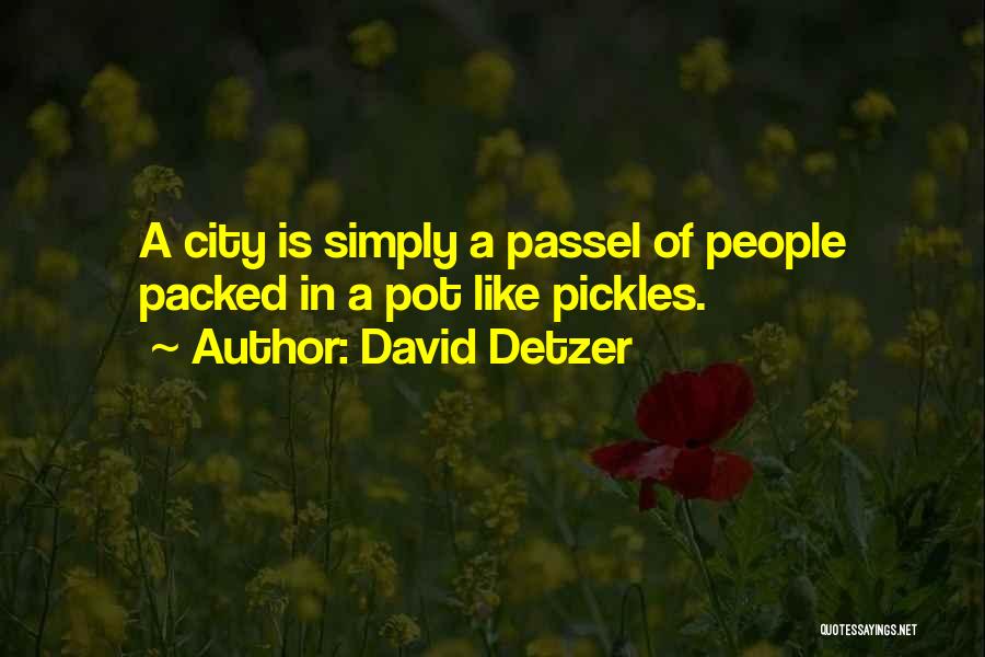 Urban City Life Quotes By David Detzer