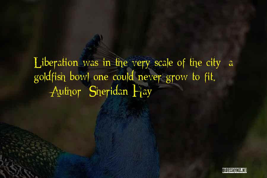 Urban City Life Quotes By Sheridan Hay