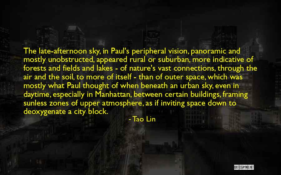 Urban Vs Rural Quotes By Tao Lin