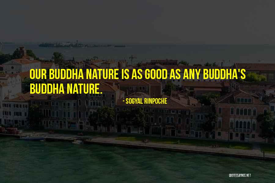 Urbanites Leading Quotes By Sogyal Rinpoche Urbanites Leading Quotes By Sogyal Rinpoche