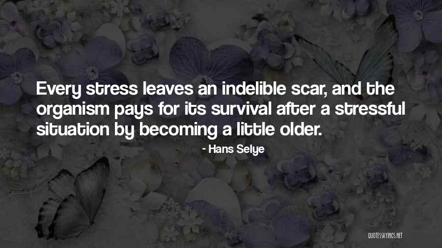 Uredjenje Terase Quotes By Hans Selye Uredjenje Terase Quotes By Hans Selye