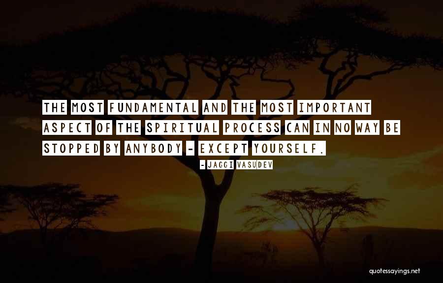 Urenda Tool Quotes By Jaggi Vasudev Urenda Tool Quotes By Jaggi Vasudev