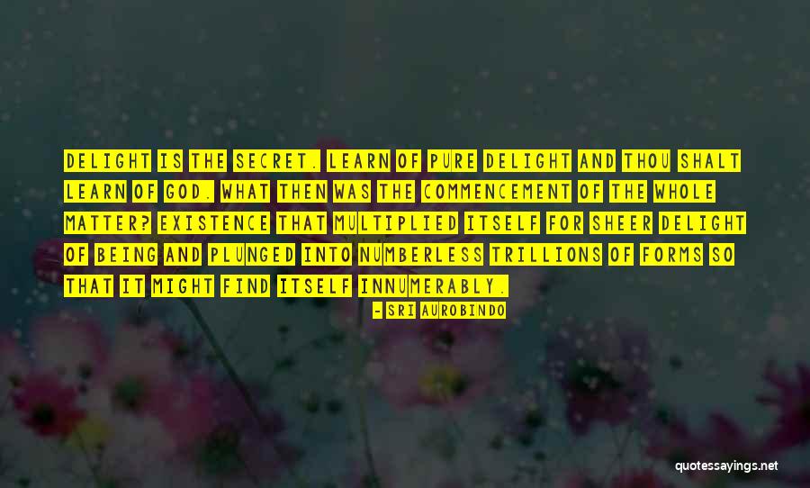 Urethane Foam Quotes By Sri Aurobindo Urethane Foam Quotes By Sri Aurobindo