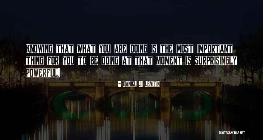 Urmm Airport Quotes By Daniel J. Levitin Urmm Airport Quotes By Daniel J. Levitin