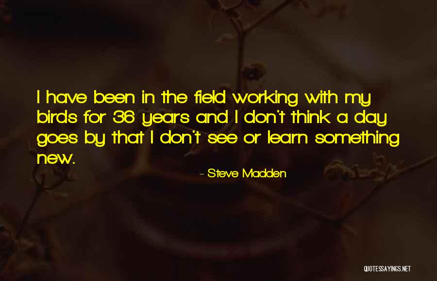 Urology Clinics Quotes By Steve Madden Urology Clinics Quotes By Steve Madden