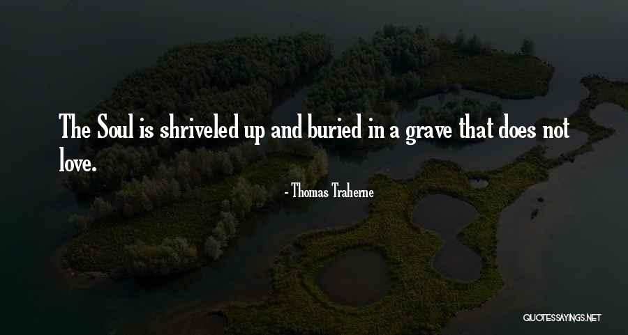 Urquell Beer Quotes By Thomas Traherne Urquell Beer Quotes By Thomas Traherne