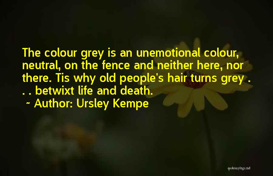 Ursley Kempe Quotes 950953