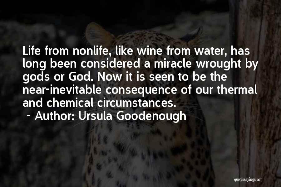 Ursula Goodenough Quotes 1435331