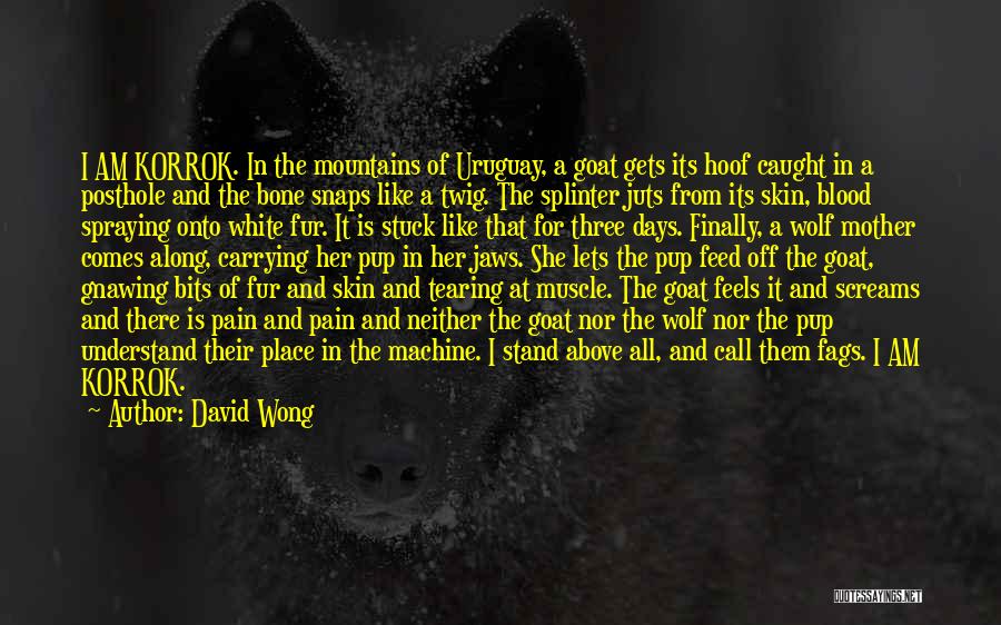 Uruguay Quotes By David Wong