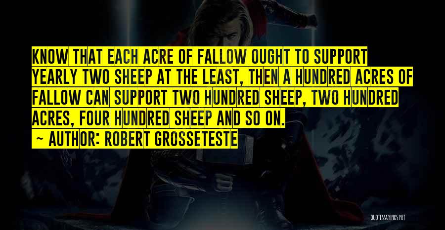 Us Acres Quotes By Robert Grosseteste