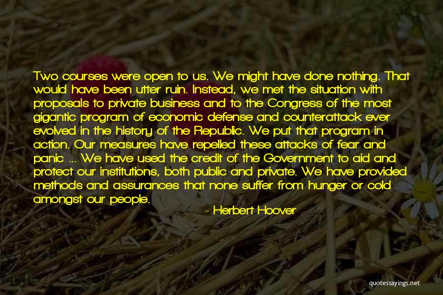 Us Agencies Quotes By Herbert Hoover