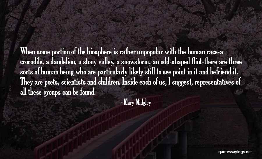 Us All Being Human Quotes By Mary Midgley