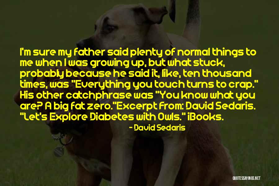 Us And Them By David Sedaris Quotes By David Sedaris Us And Them By David Sedaris Quotes By David Sedaris