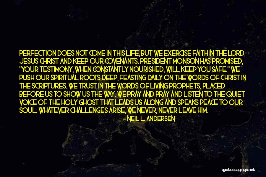 Us Andersen Quotes By Neil L. Andersen
